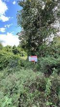 Foto del terreno en remate
